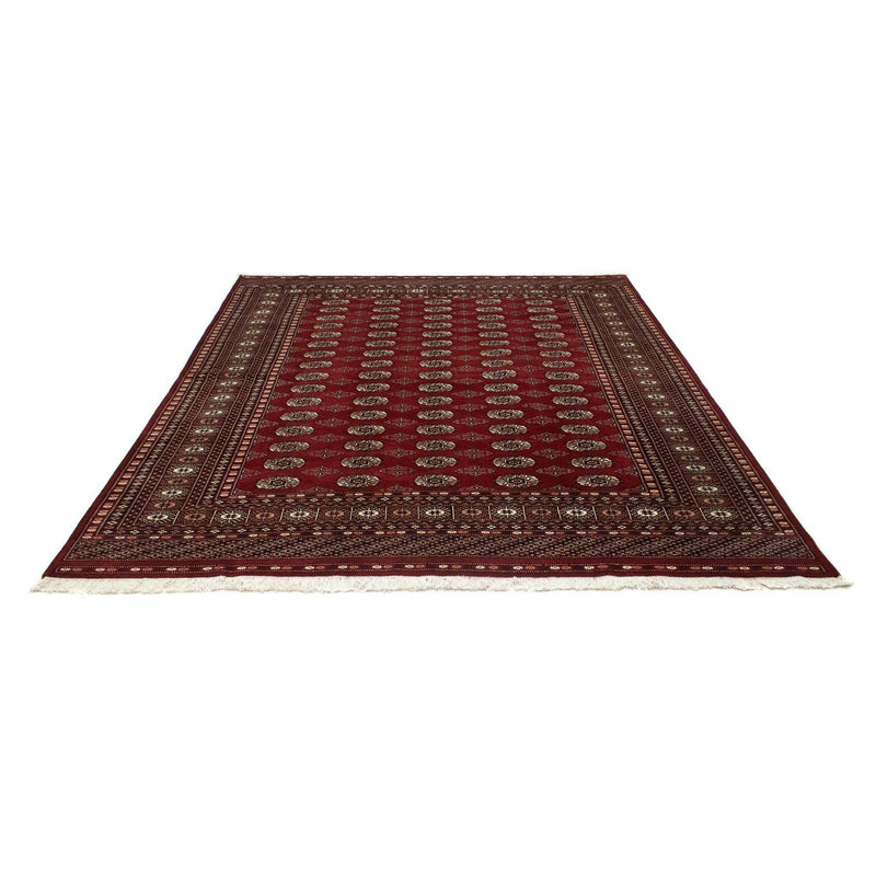 Afghan Rug - Bukhara - 238 x 200 cm - red