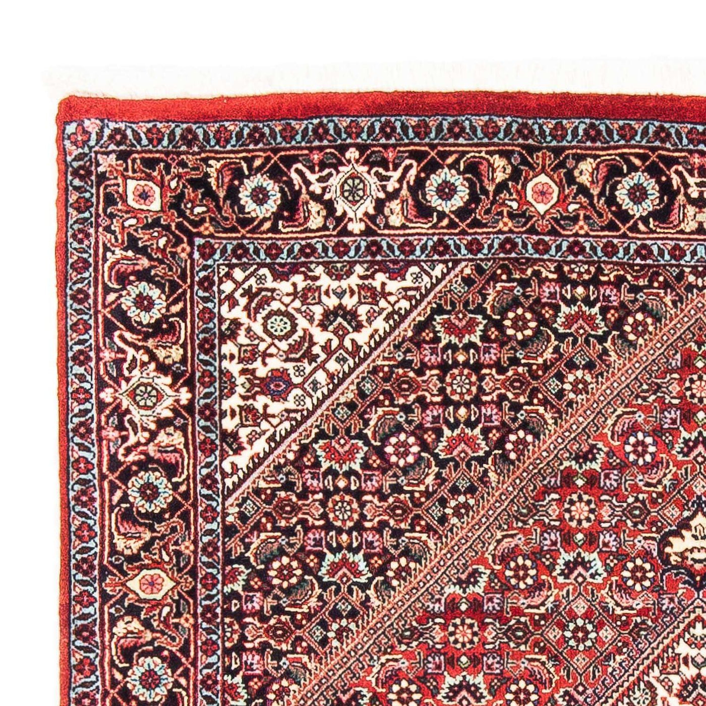 Bidjar Rug 168x110cm - Persian Rugs