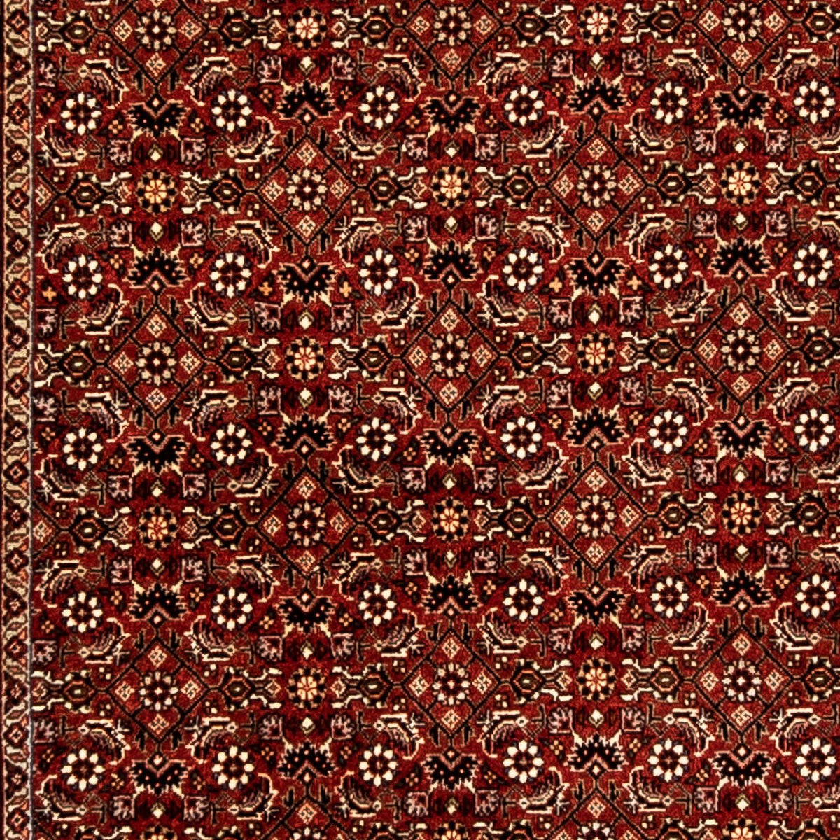 Runner Perser Rug - Bidjar - 298 x 83 cm - multicolored