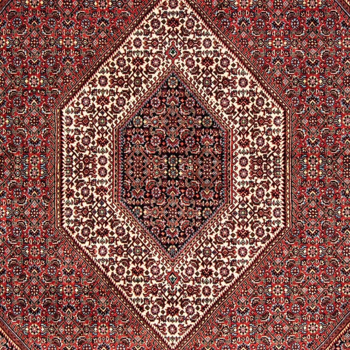 Perser Rug - Bidjar - 239 x 166 cm - multicolored