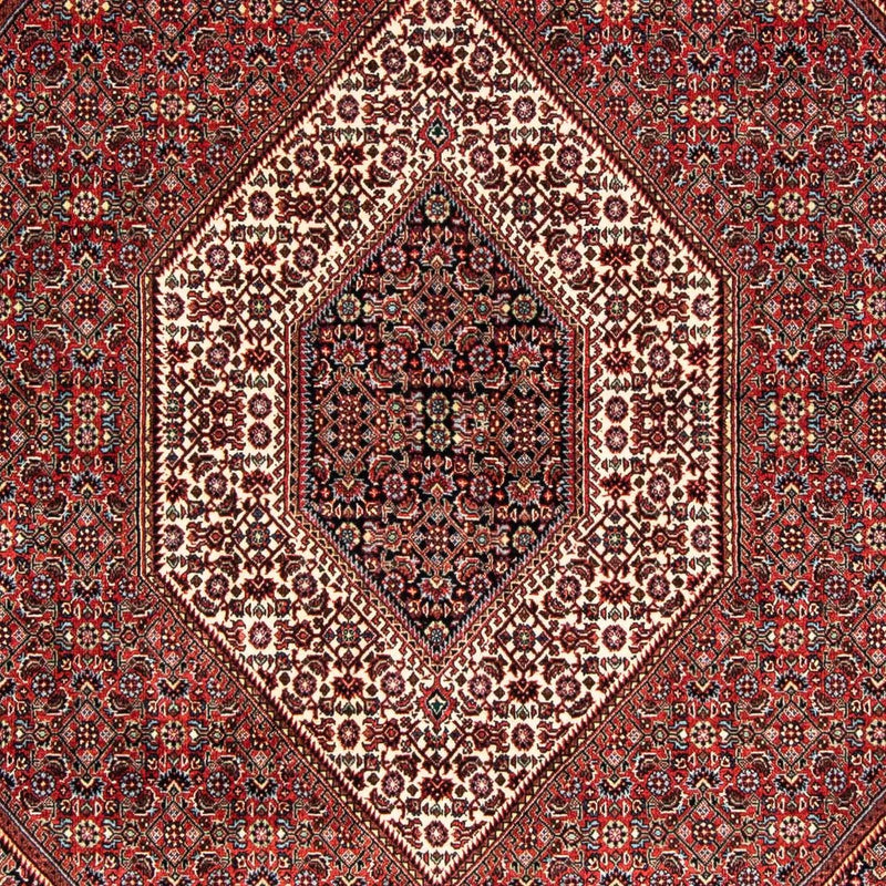Perser Rug - Bidjar - 239 x 166 cm - multicolored