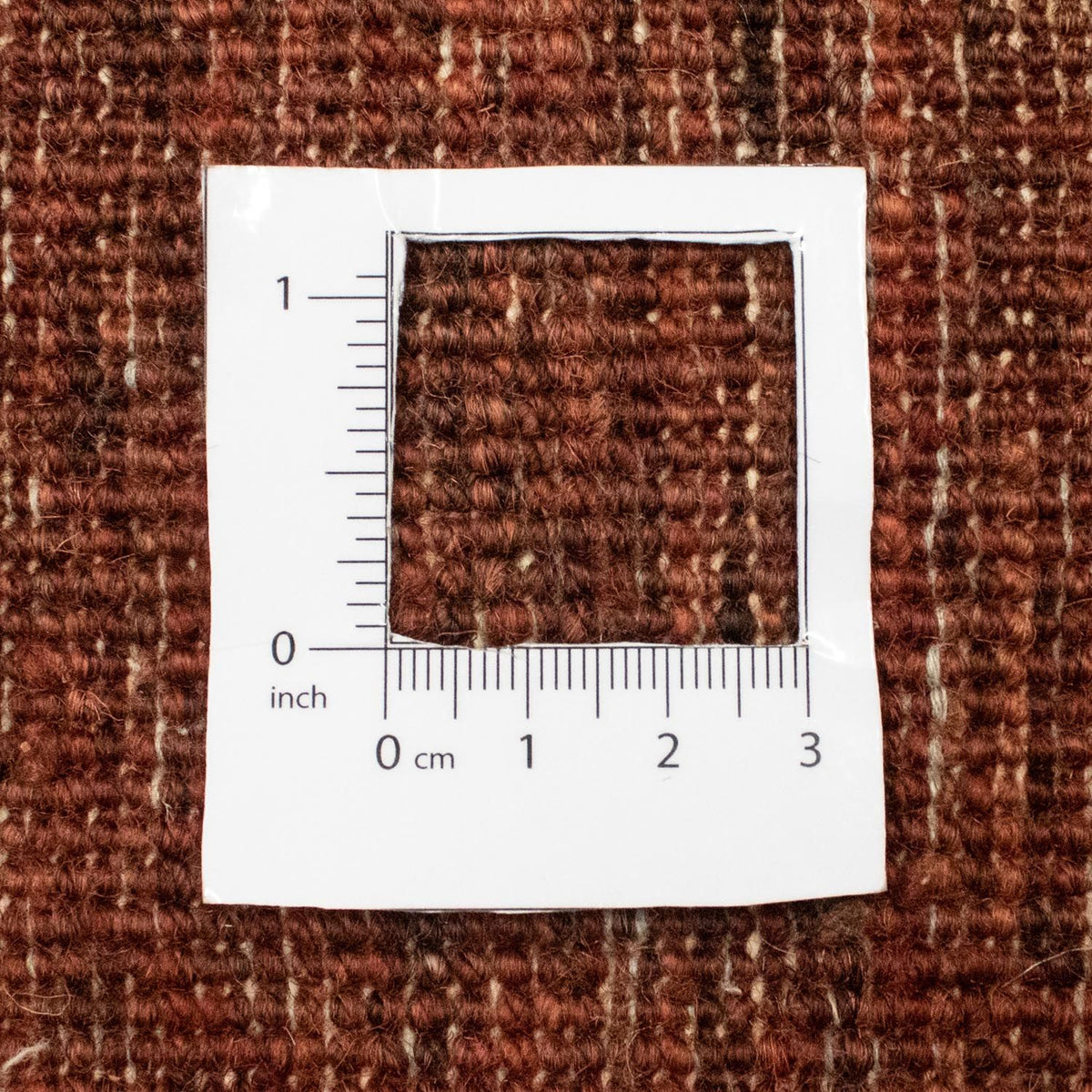 Ziegler Rug - 259 x 175 cm - red