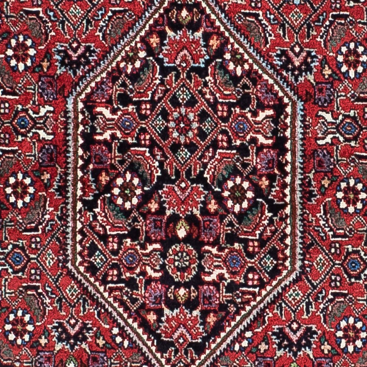 Perser Rug - Bidjar - 205 x 131 cm - light red