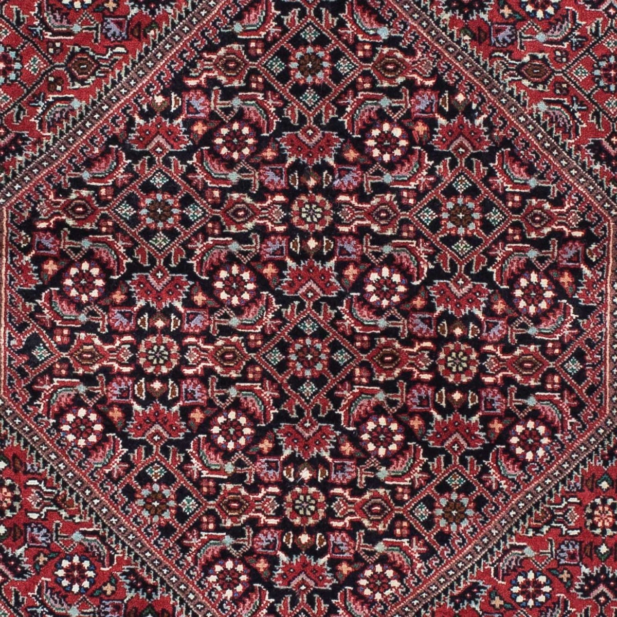 Runner Perser Rug - Bidjar - 212 x 74 cm - dark red