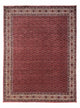 Bidjar - Takab Rug 252x338cm - Persian Rugs