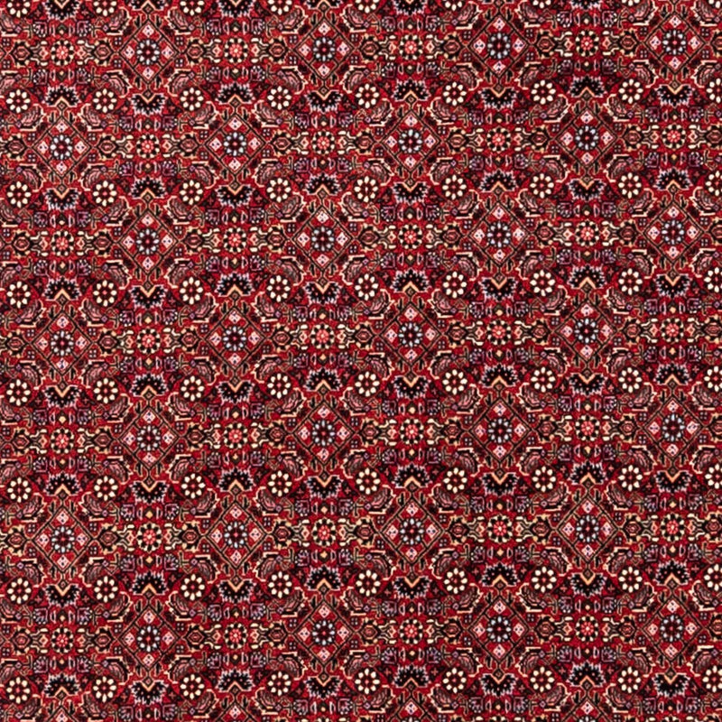 Perser Rug - Bidjar - 338 x 252 cm - red