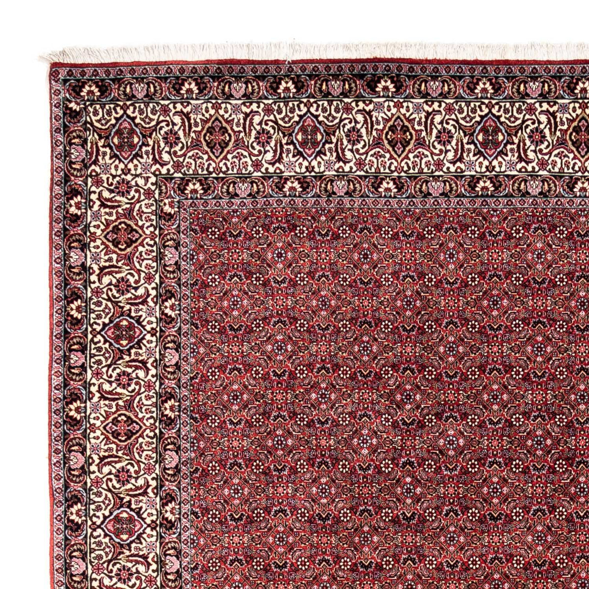 Bidjar - Takab Rug 252x338cm - Persian Rugs