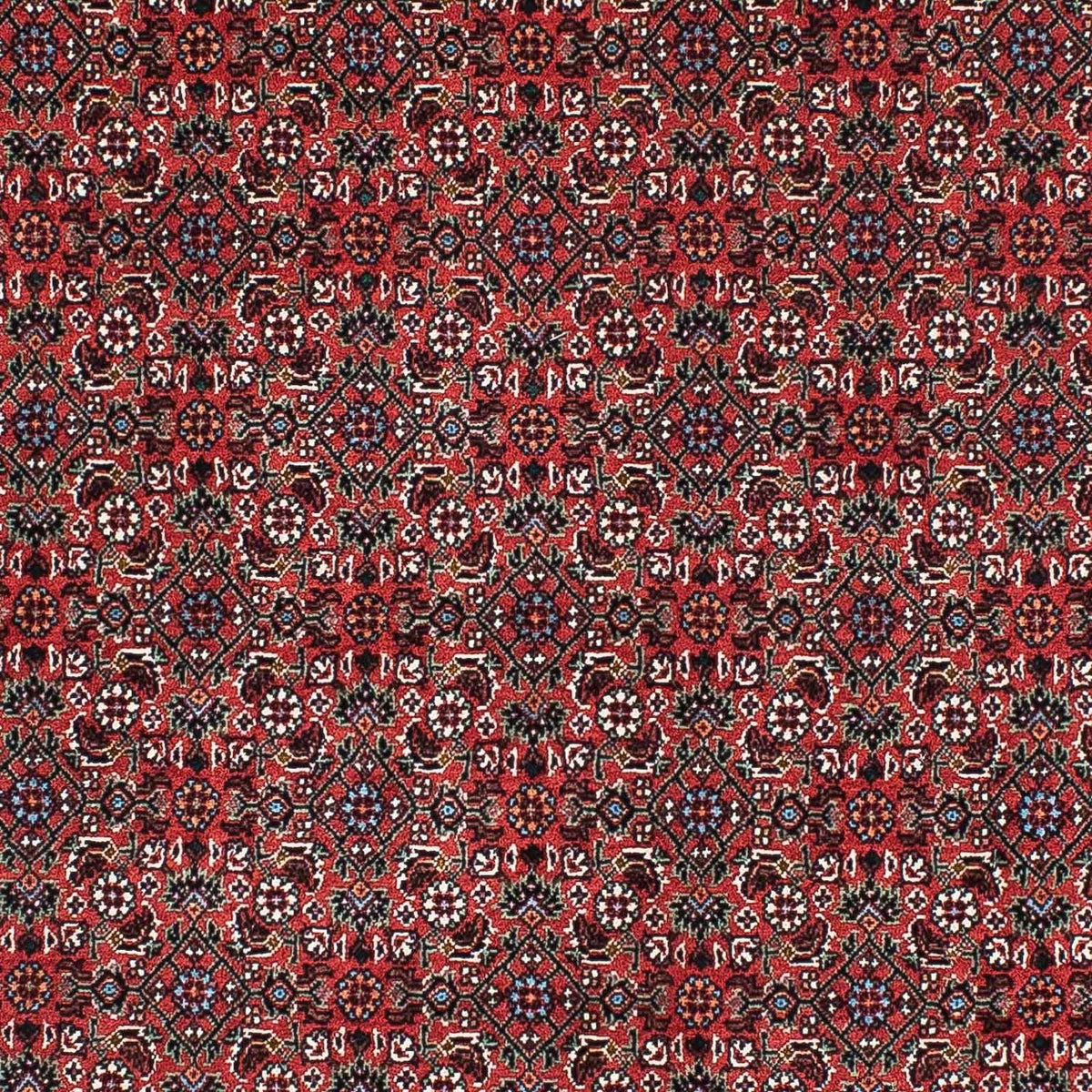 Runner Perser Rug - Bidjar - 204 x 99 cm - red