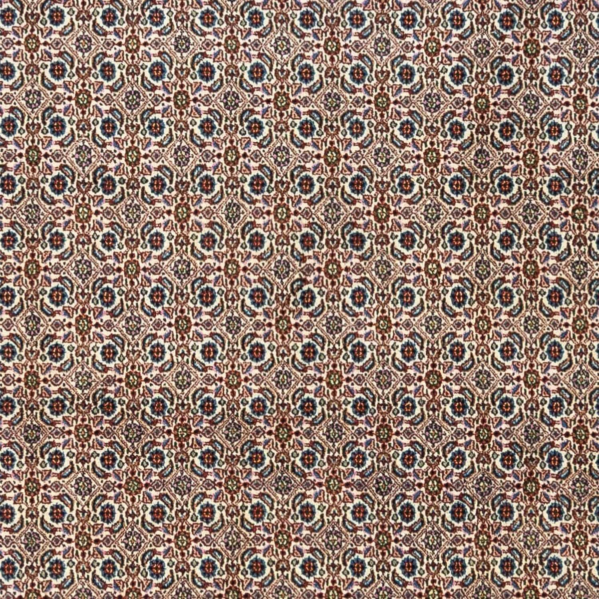 Perser Rug - Classic - 345 x 243 cm - beige