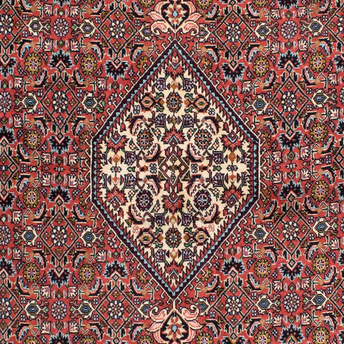Perser Rug - Bidjar - 231 x 141 cm - red