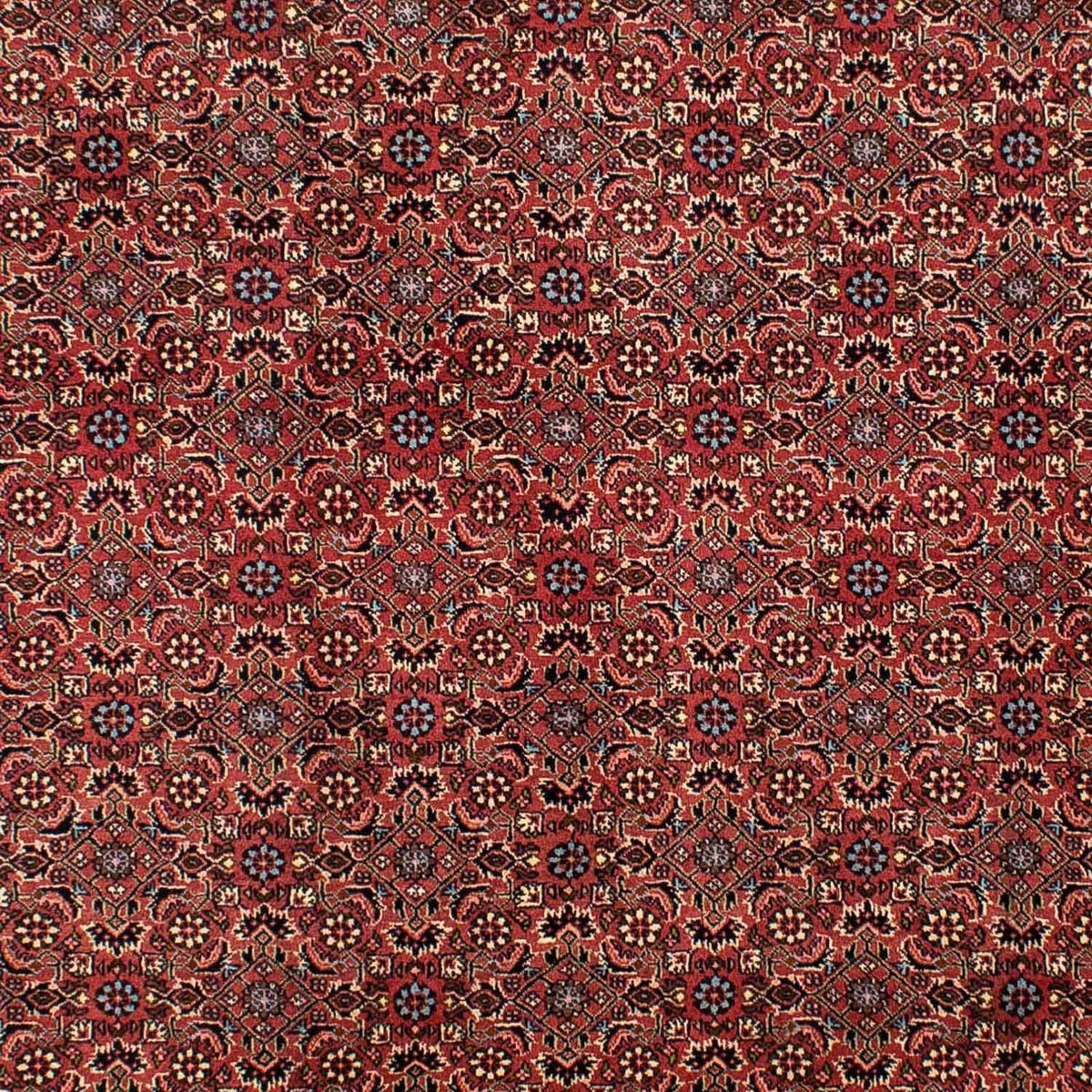 Perser Rug - Bidjar - 300 x 200 cm - dark red