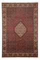 Bidjar Rug 204x295cm - Persian Rugs