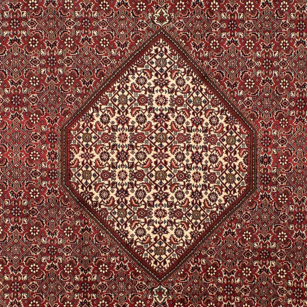 Perser Rug - Bidjar - 295 x 204 cm - brown