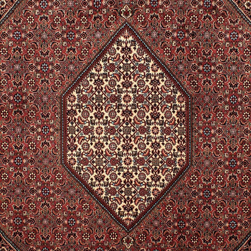 Bidjar Rug 298x206cm - Persian Rugs