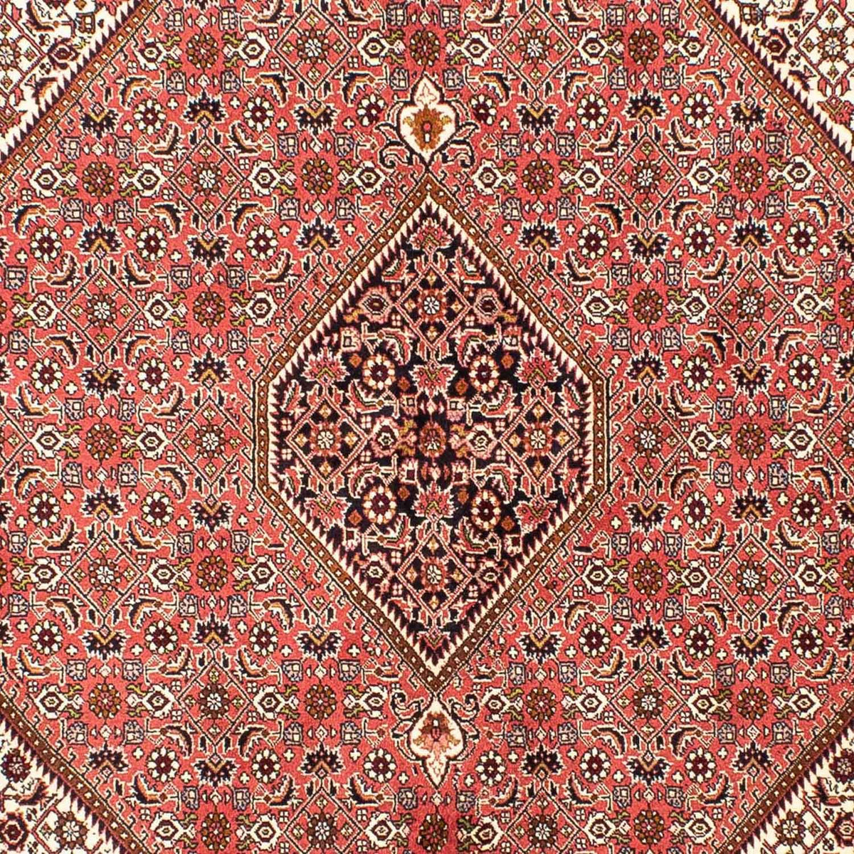 Perser Rug - Bidjar - 237 x 176 cm - light red