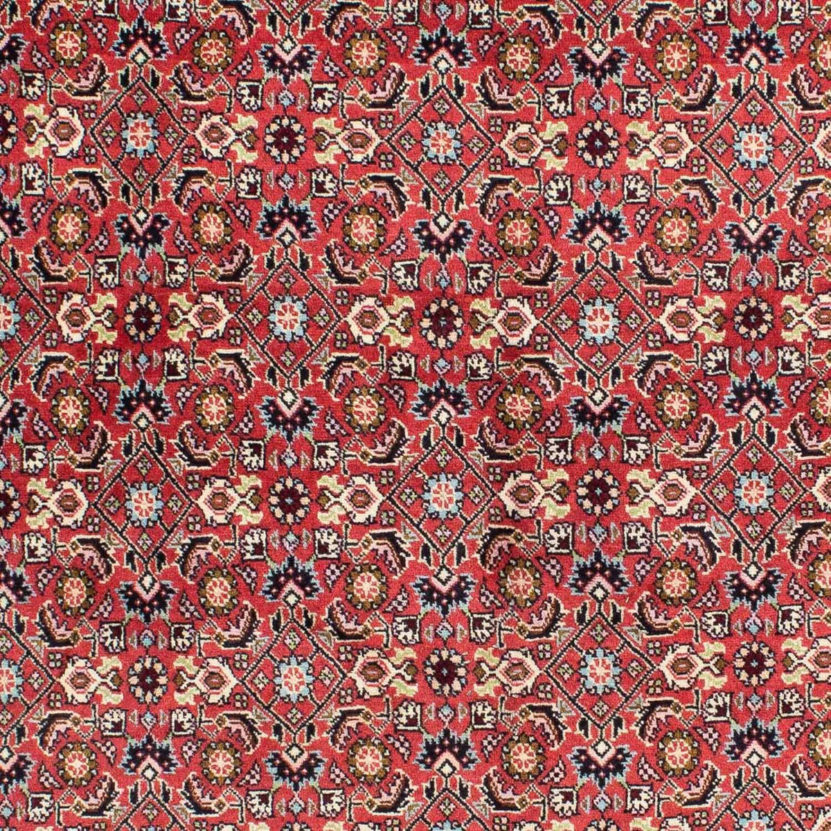 Perser Rug - Bidjar - 233 x 138 cm - red