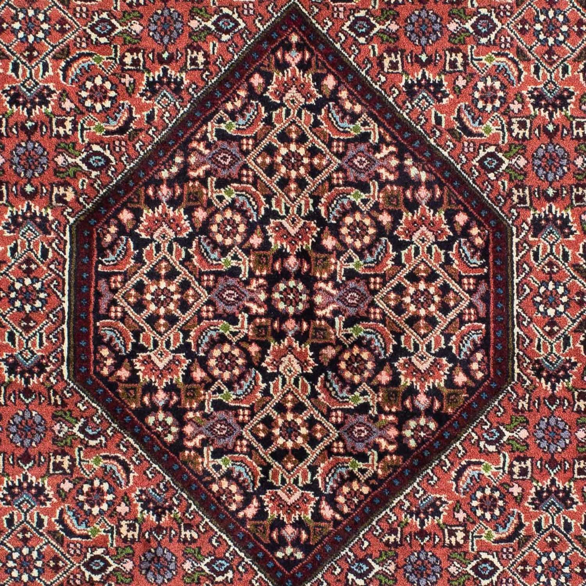Perser Rug - Bidjar - 235 x 140 cm - red