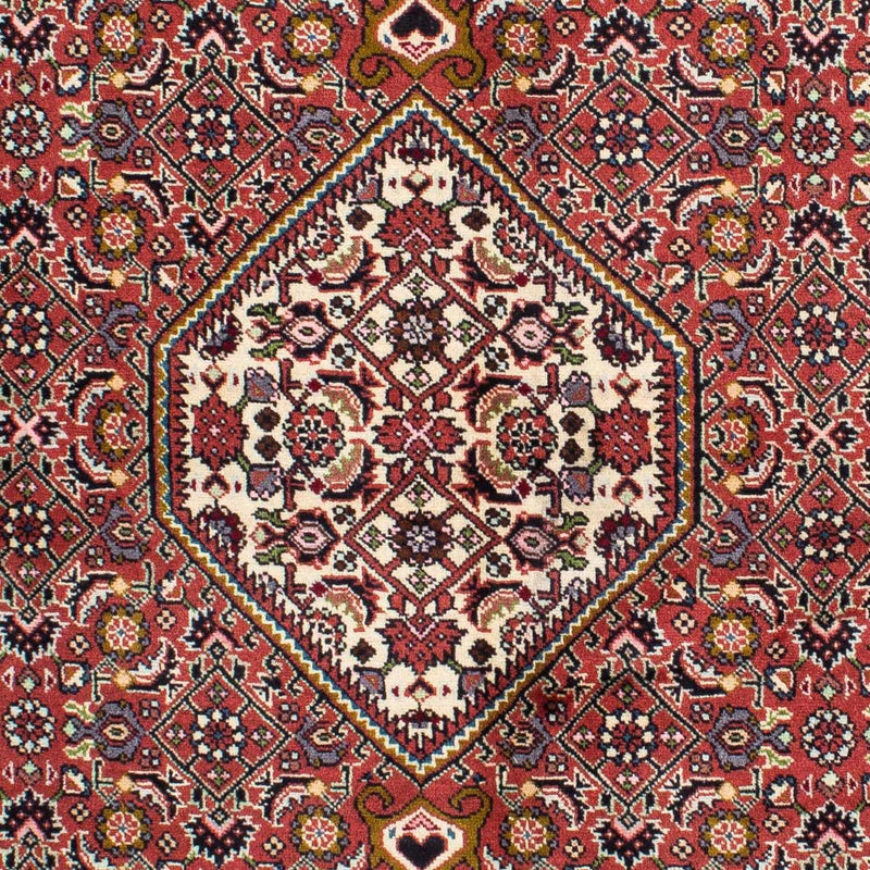 Bidjar - Zanjan Rug 220x136cm - Persian Rugs