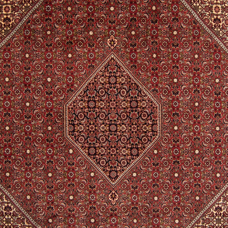 Perser Rug - Bidjar - 345 x 247 cm - brown