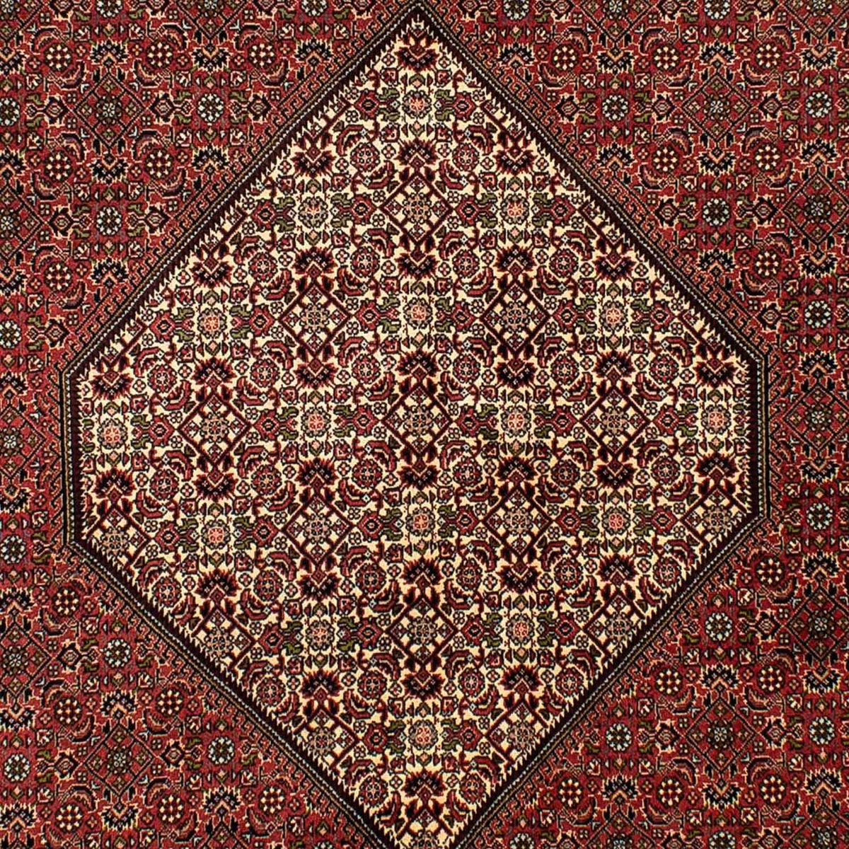 Perser Rug - Bidjar - 265 x 171 cm - brown