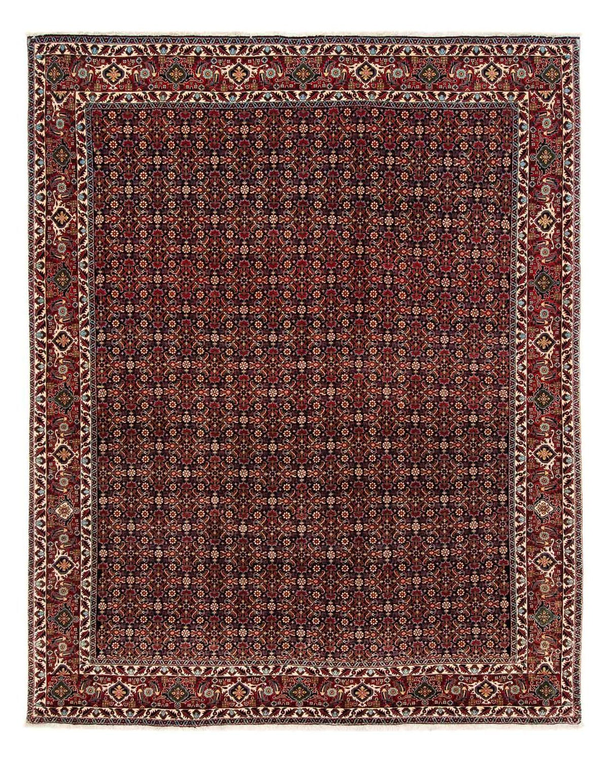 Perser Rug - Bidjar - 248 x 205 cm - dark red