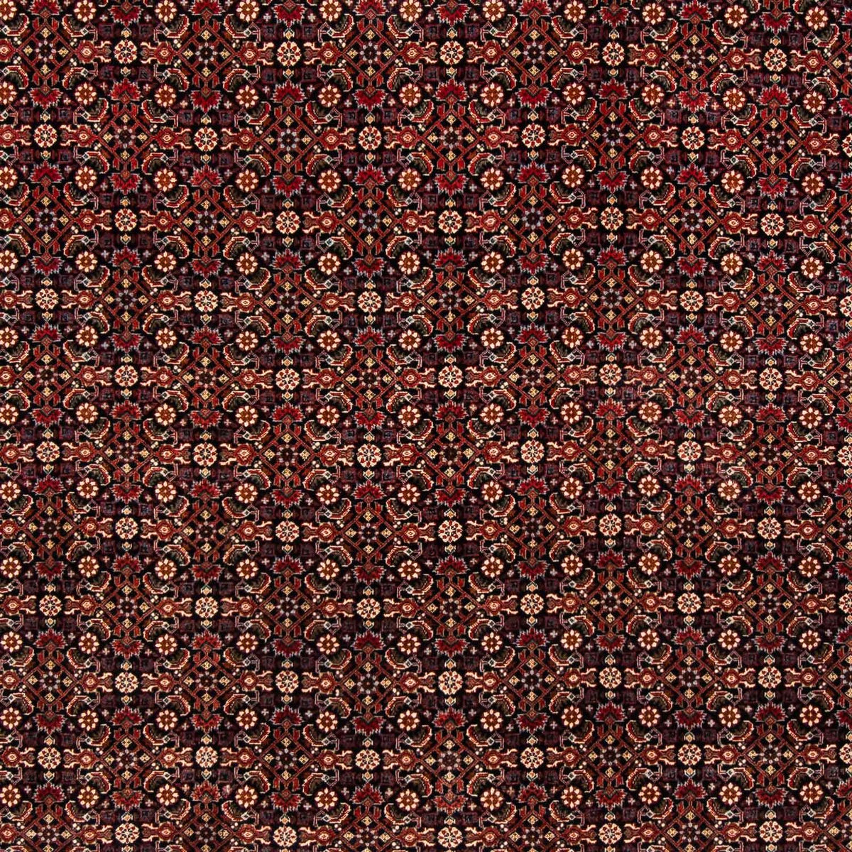 Perser Rug - Bidjar - 248 x 205 cm - dark red