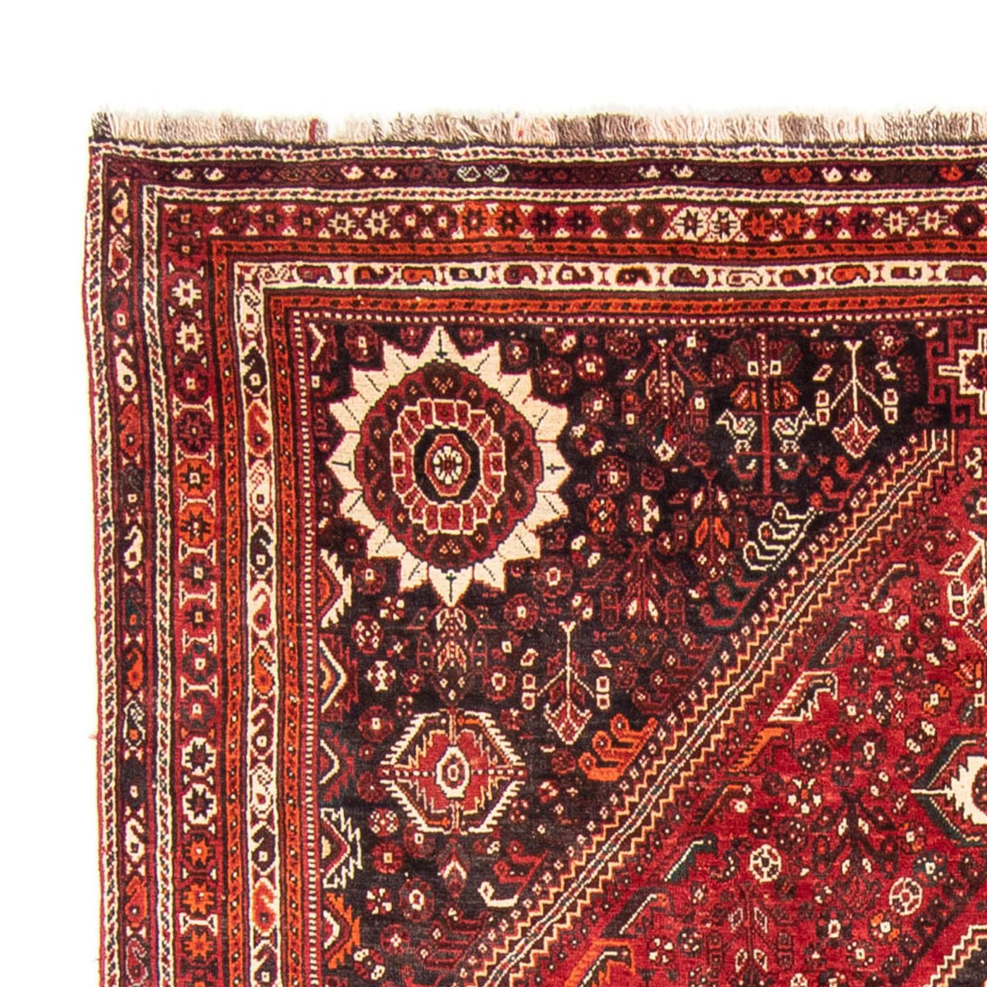 Qashqai Rug 328x215cm - Persian Rugs