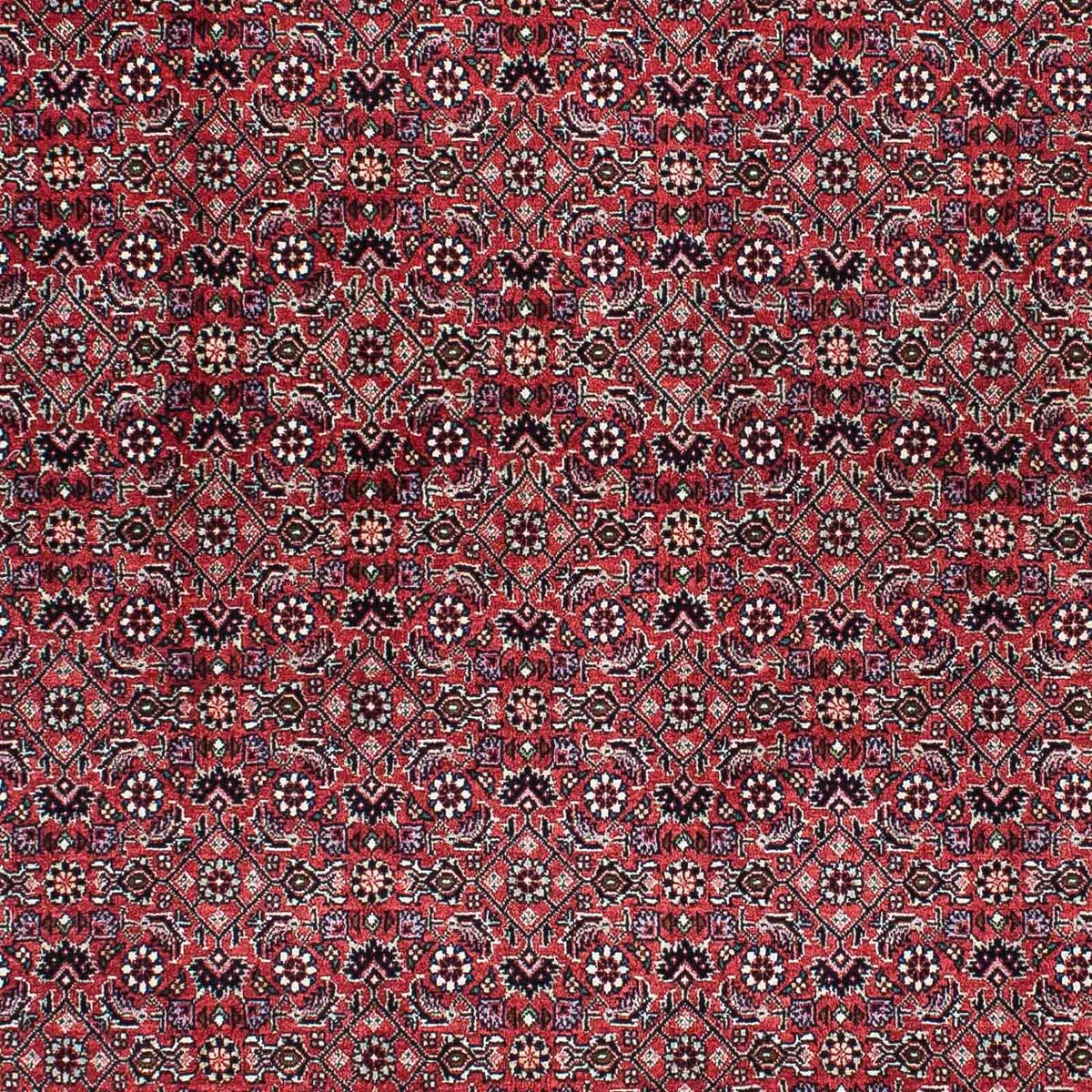 Perser Rug - Bidjar - 200 x 133 cm - light red