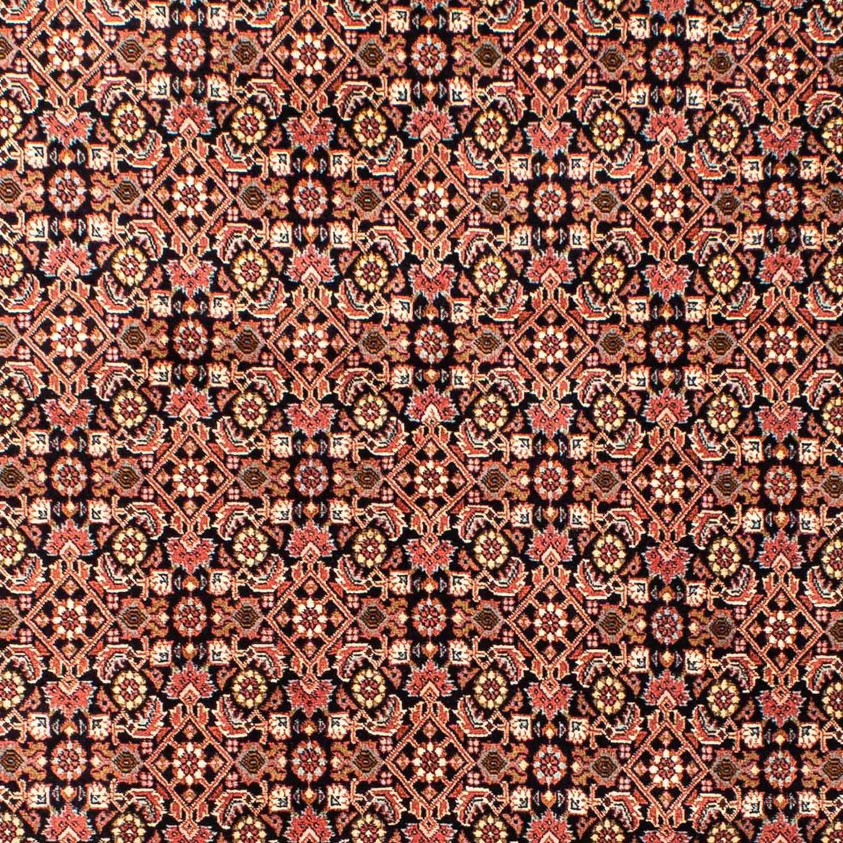 Perser Rug - Bidjar - 235 x 170 cm - light red