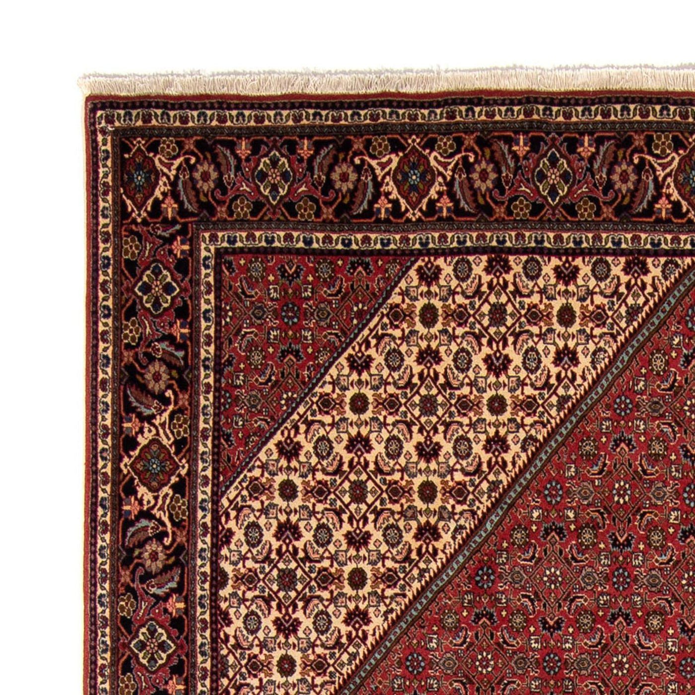 Bidjar Rug 343x248cm - Persian Rugs