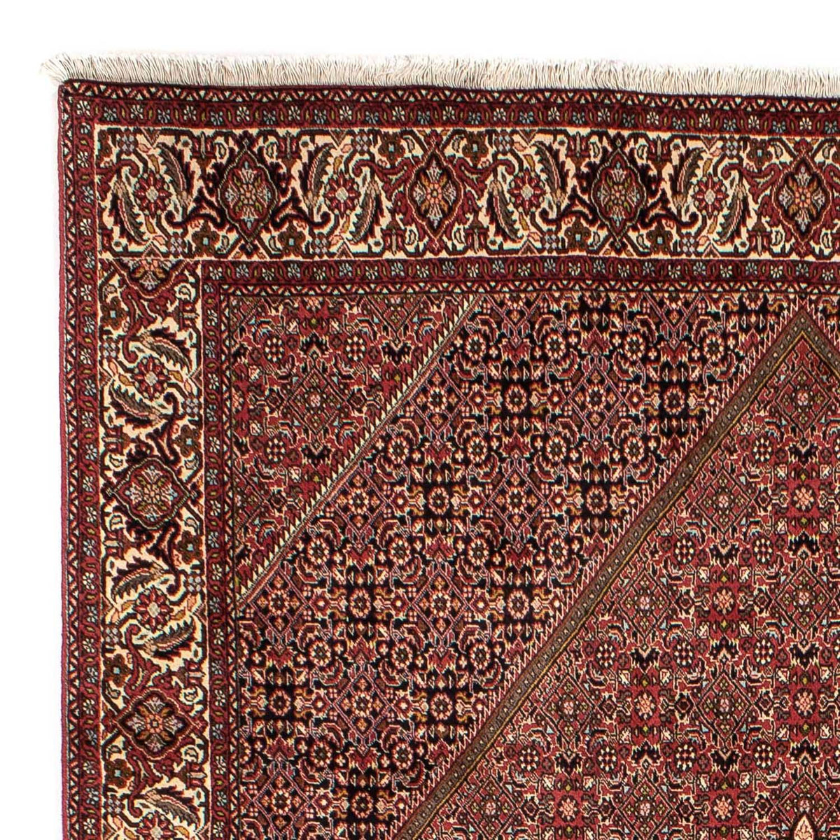 Perser Rug - Bidjar - 305 x 202 cm - brown