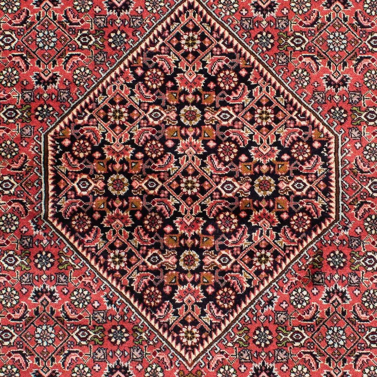 Perser Rug - Bidjar - 222 x 142 cm - red