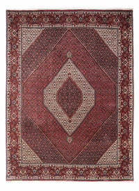 Perser Rug - Bidjar - 338 x 249 cm - red