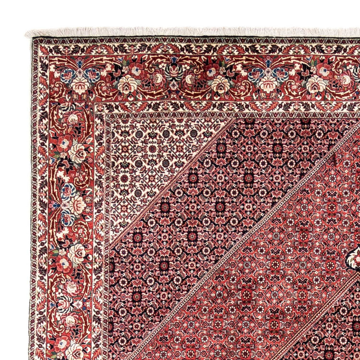 Bidjar - Takab Rug 252x346cm - Persian Rugs