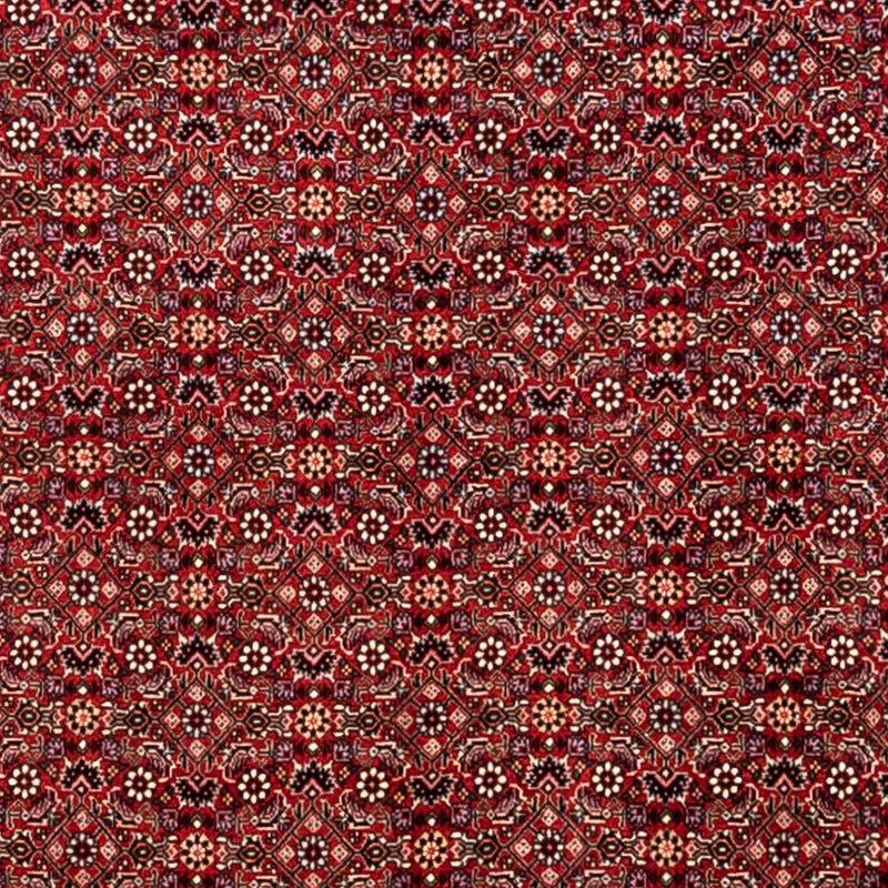 Perser Rug - Bidjar - 340 x 248 cm - red