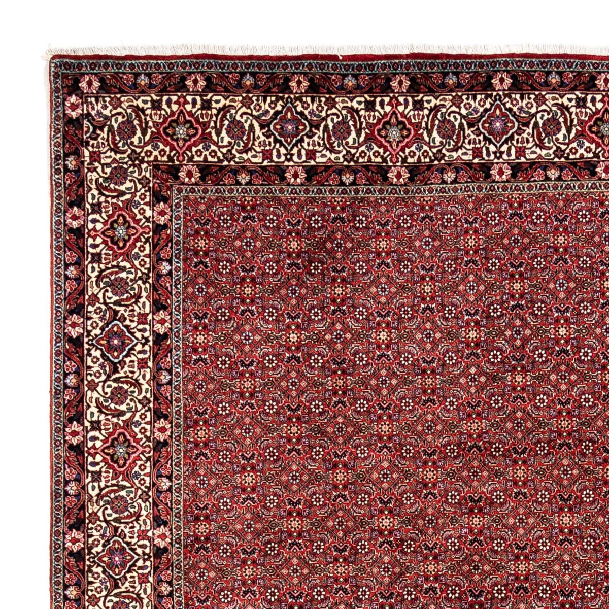 Perser Rug - Bidjar - 340 x 248 cm - red