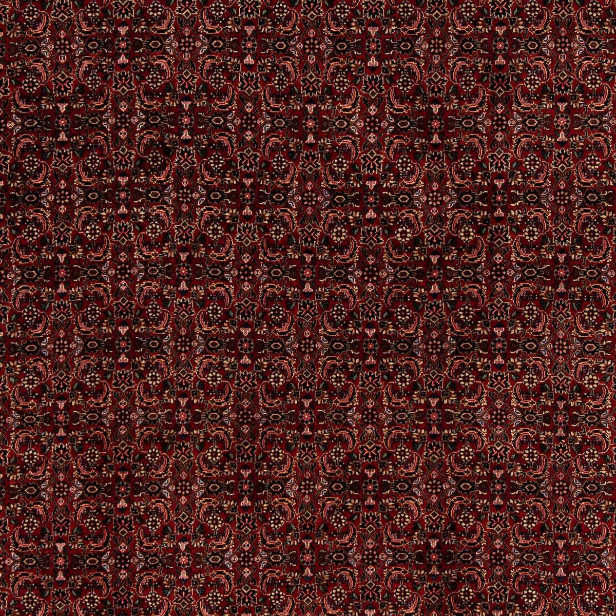Perser Rug - Bidjar - 249 x 202 cm - dark red
