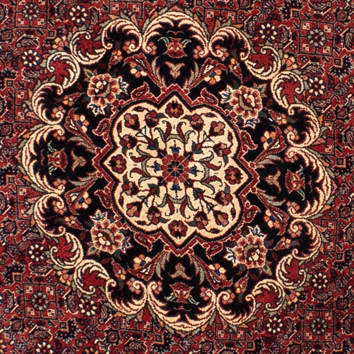 Perser Rug - Bidjar round  - 150 x 150 cm - dark red