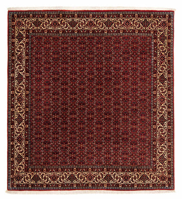 Perser Rug - Bidjar square  - 207 x 200 cm - dark red