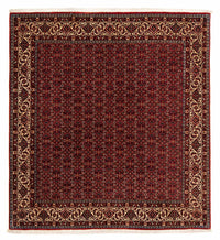 Perser Rug - Bidjar square  - 207 x 200 cm - dark red