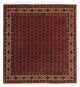 Bidjar Rug 200x207cm - Persian Rugs