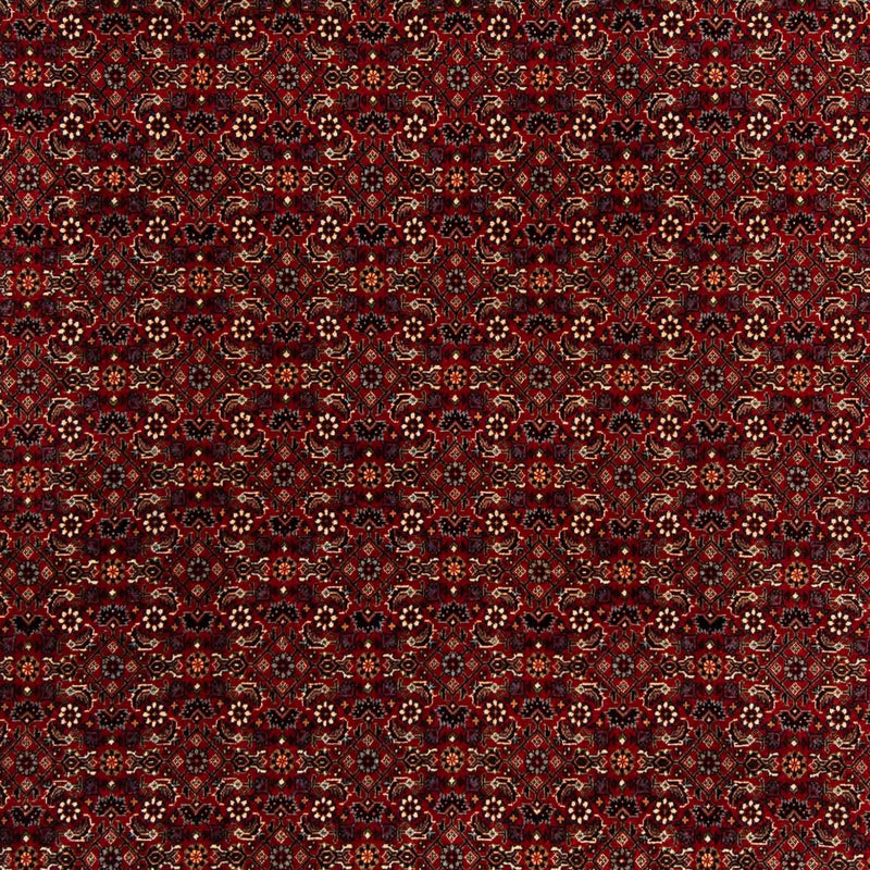 Perser Rug - Bidjar square  - 207 x 200 cm - dark red