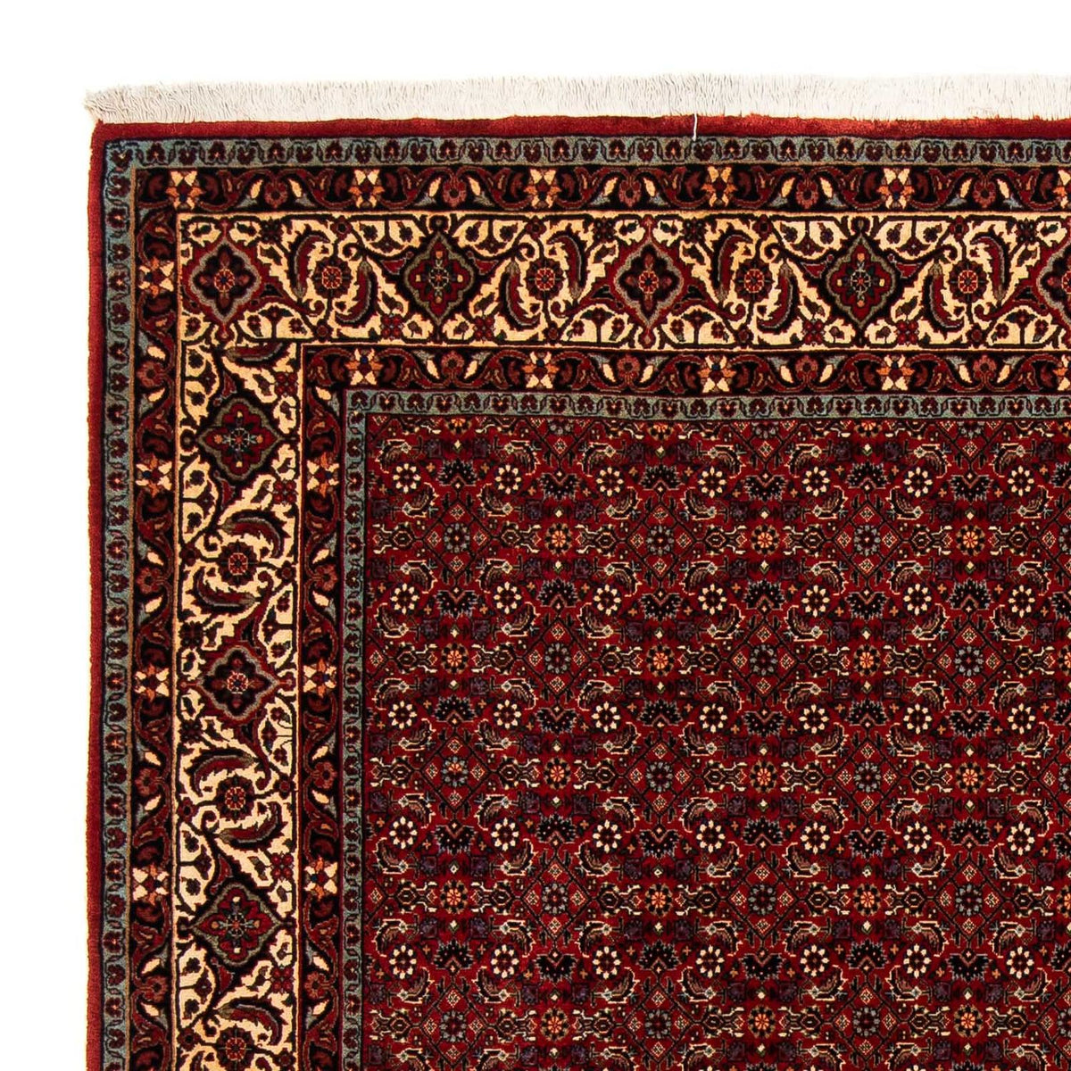 Bidjar Rug 200x207cm - Persian Rugs