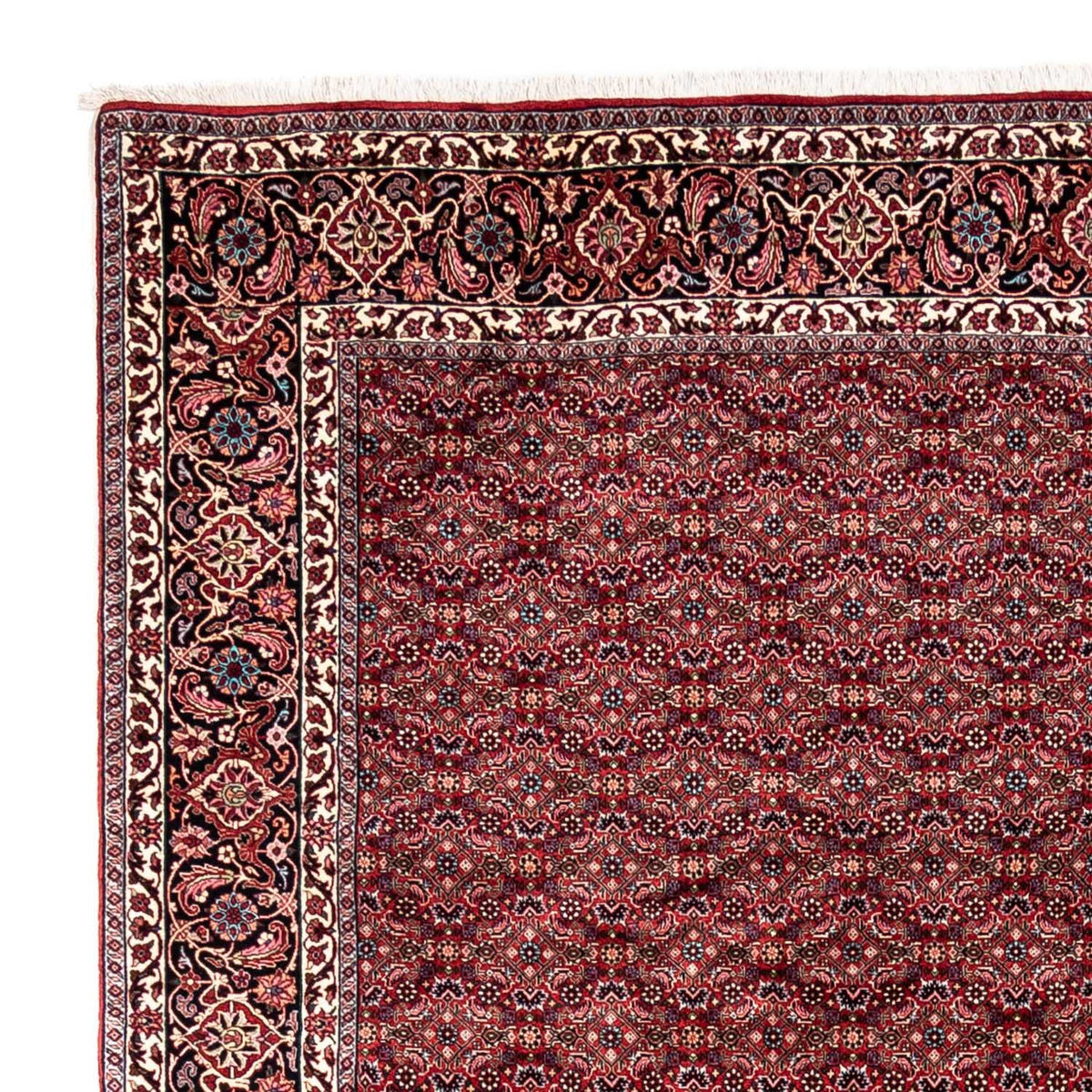 Perser Rug - Bidjar - 337 x 252 cm - red