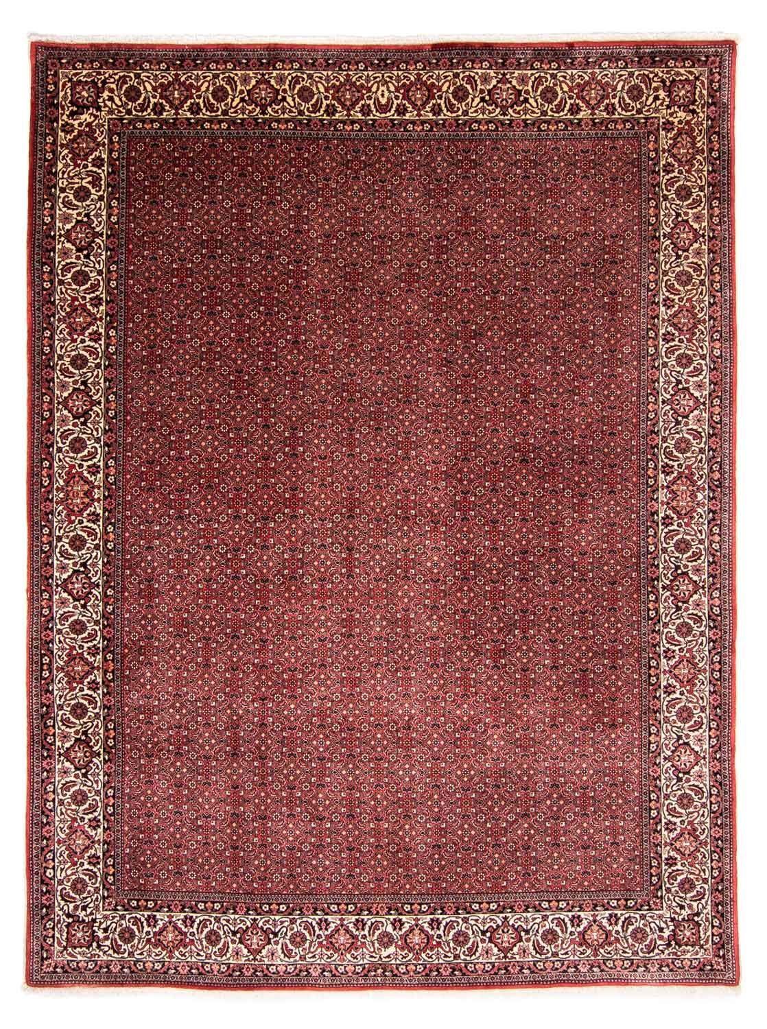 Perser Rug - Bidjar - 338 x 258 cm - red