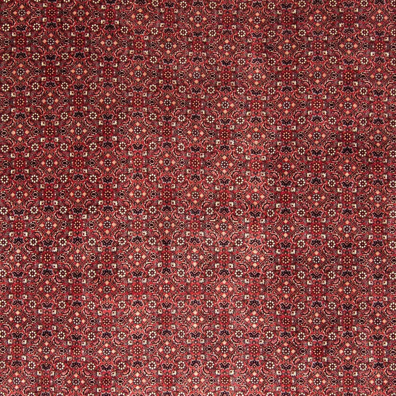 Perser Rug - Bidjar - 338 x 258 cm - red