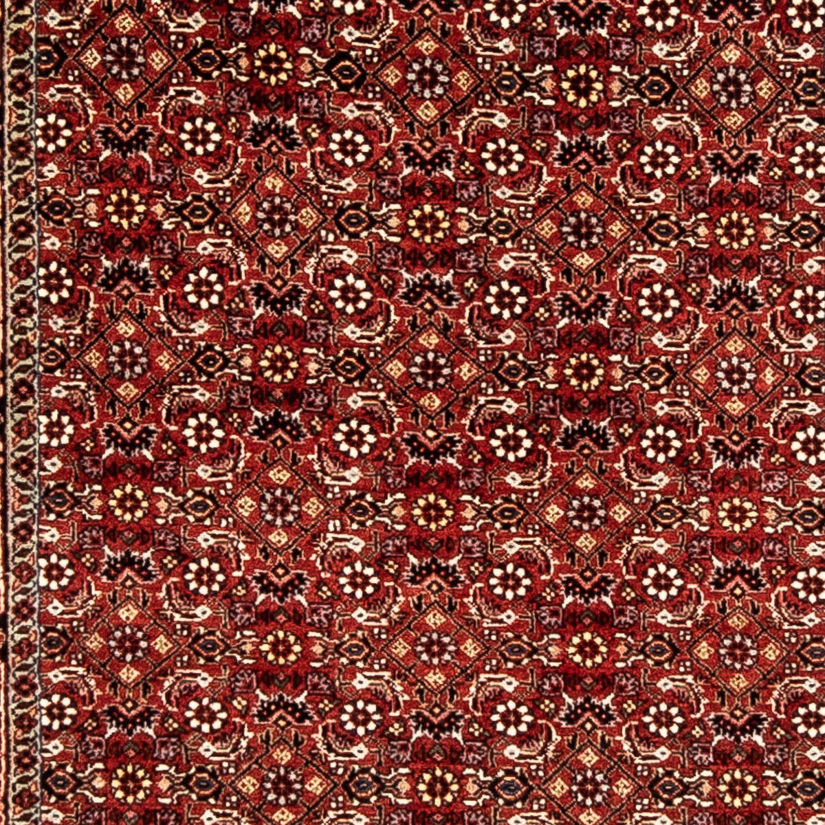 Runner Perser Rug - Bidjar - 298 x 80 cm - dark red