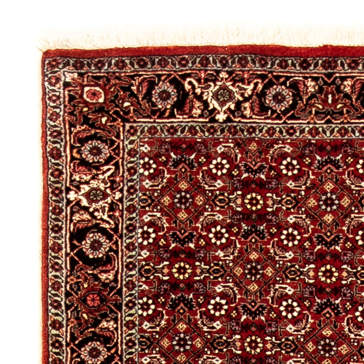 Runner Perser Rug - Bidjar - 298 x 80 cm - dark red