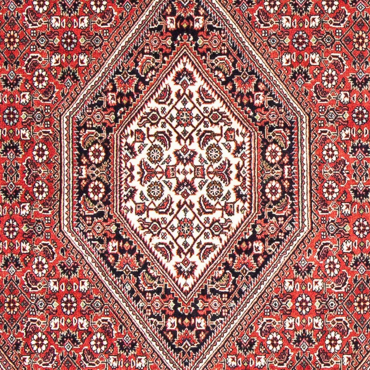 Perser Rug - Bidjar - 176 x 110 cm - red