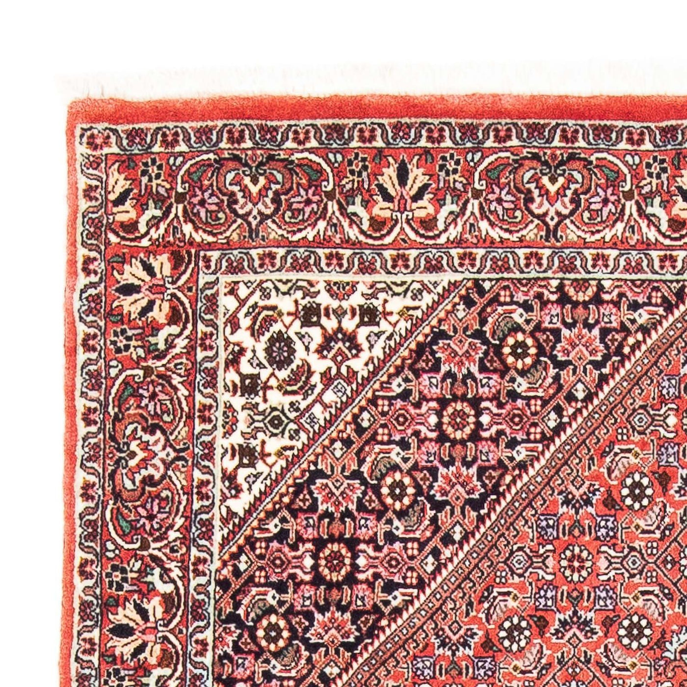 Bidjar Rug 168x109cm - Persian Rugs